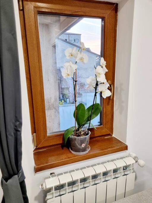 Cozy Apartment Near City Center Bucureşti Ngoại thất bức ảnh